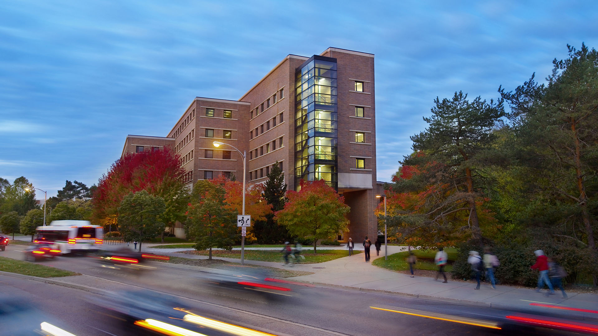 Graduate Requirements Michigan State University Online