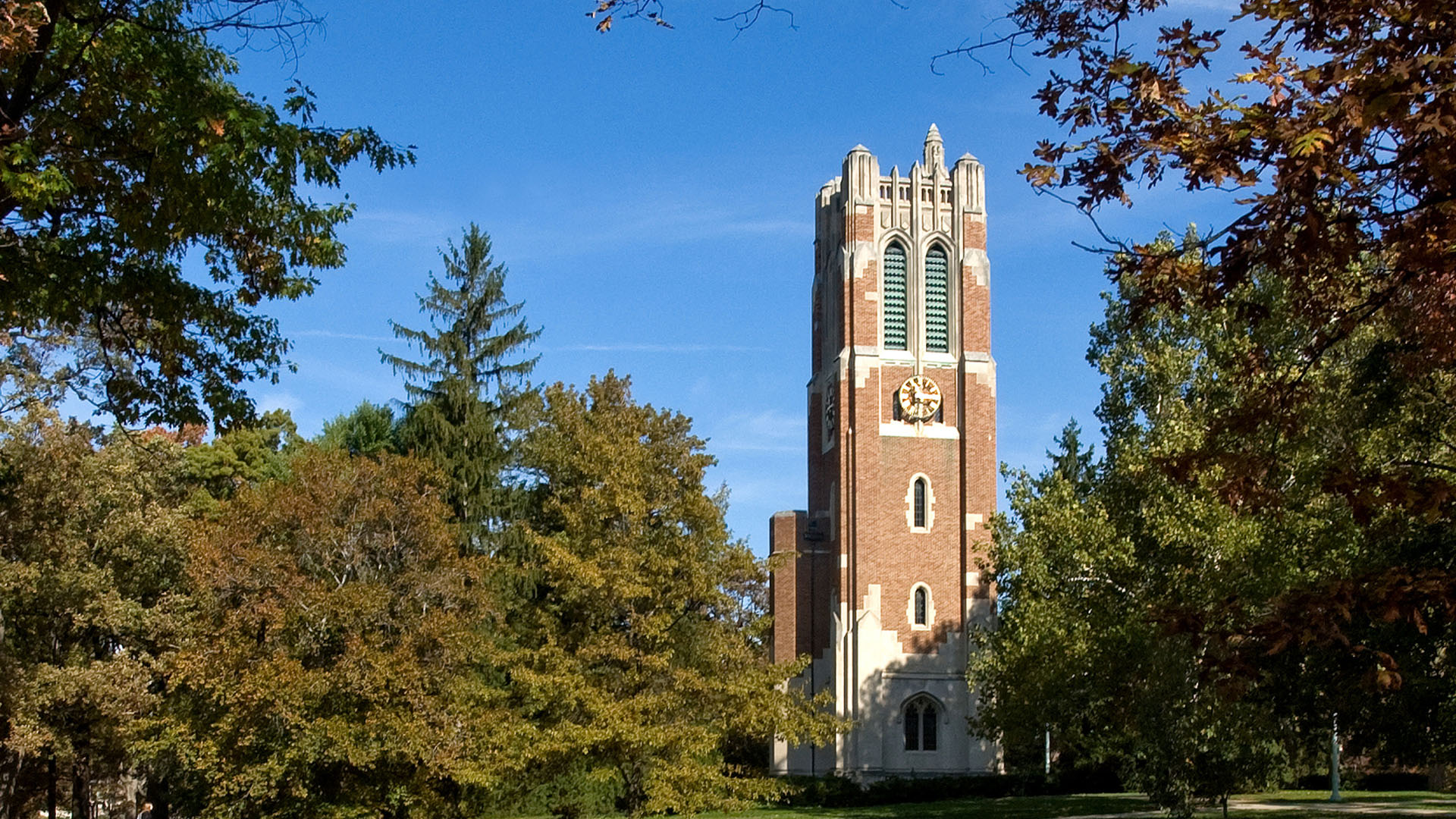 Admissions Michigan State University