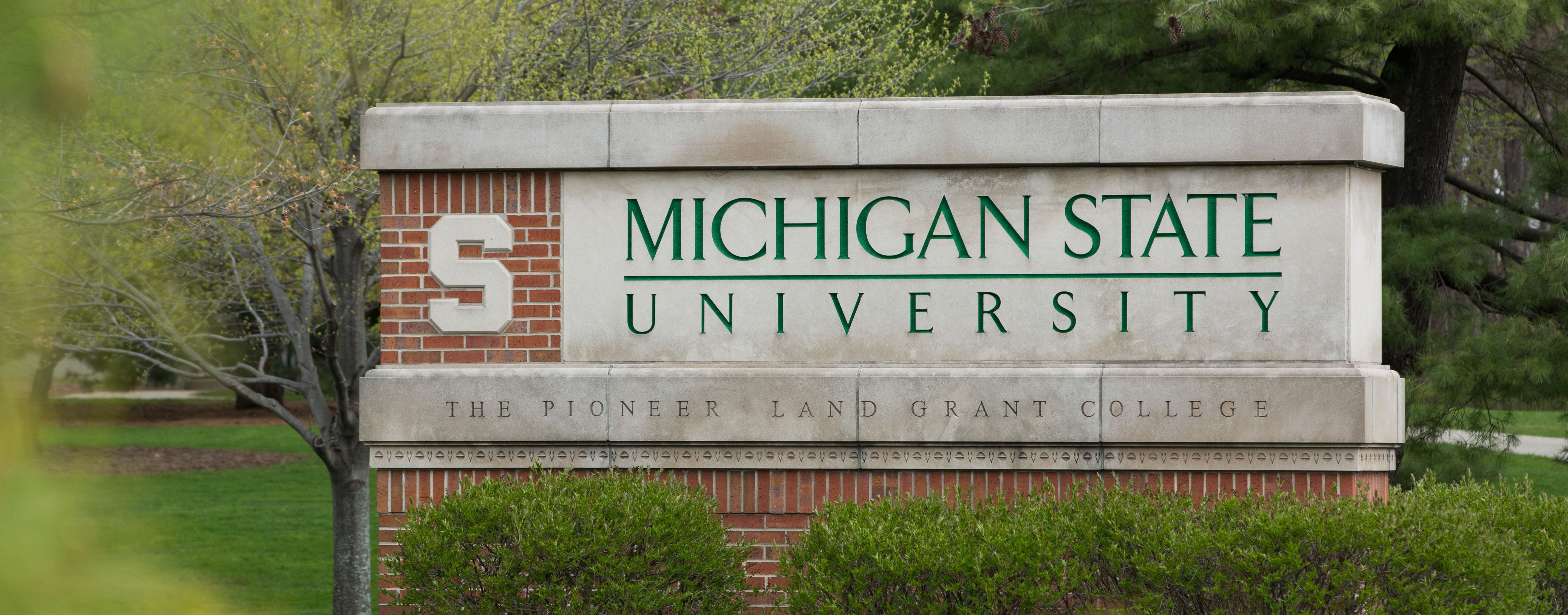 Faculty MSU Online Programs