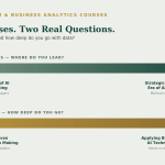 AI Business Analytics courses